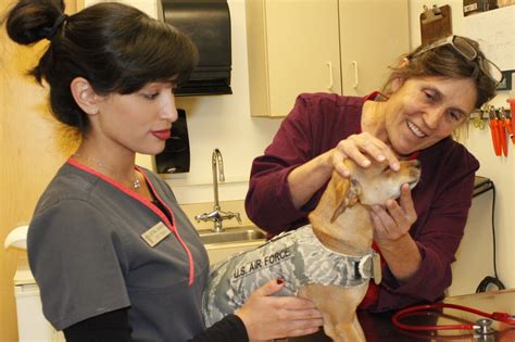 Kirtland vet - Petfinder initiated “Deaf Dog Awareness Week” to spread awareness about hearing loss in dogs and how to care for dogs affected by it. Although temporary, partial, or complete (both ears) deafness can affect many dogs, they still make warm, caring companions and trainable pets.